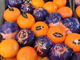 Апельсин WASHINGTON