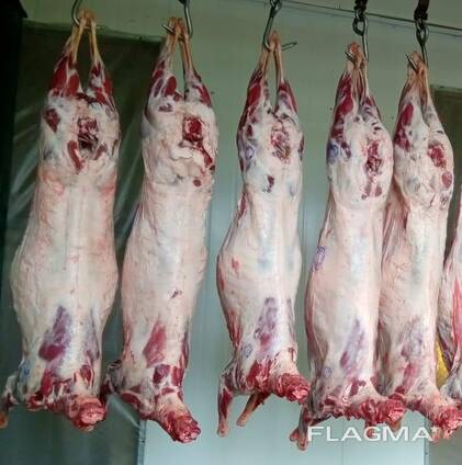 Баранина, ягнятина Halal