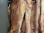 Beef - фото 1