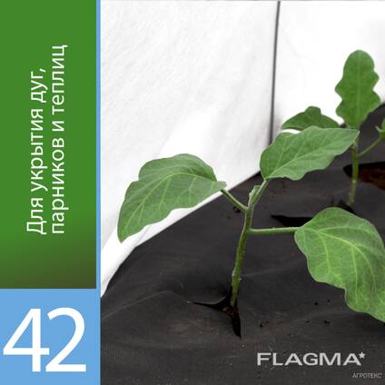 Белый укрывной материал 42 плотности