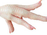 Chicken - фото 2