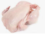 Chicken - фото 3