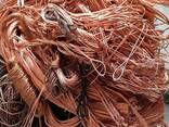 Large Quantity Bulk Supply Copper Wire Scrap for Recycling 99.99% Pure - фото 2