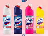 Domestos - фото 1