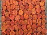 Dried Apricot 6 Extra - фото 1