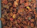 Dried apricots industrial Plus - фото 2