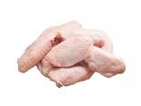 Frozen chicken breast frozen chicken paws frozen chicken - фото 1