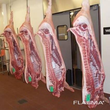 Frozen Pork Meat , Pork Belly , PorK Ham Hock