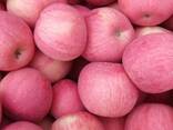 Fuji apple - фото 1