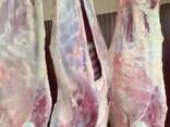 Goat meat - photo 1