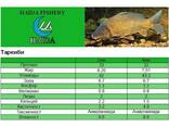 Haida Fishery - фото 4