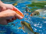Haida Fishery - фото 5