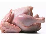 Halal Certified Frozen Whole Chicken For Sale Wholesale4 - фото 3