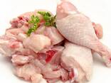Halal Frozen Chicken, Thigh, Back quarter, Wings , Fillet IPBF , IQF, BF. - фото 2