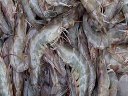 Healthy Frozen Seafood Vannamei Shrimps For Sale