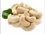 High Quality Cashew Nuts w240 Delicious Cashew Nut Kernel 100 % - фото 1