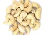 High Quality Cashew Nuts w240 Delicious Cashew Nut Kernel 100 %