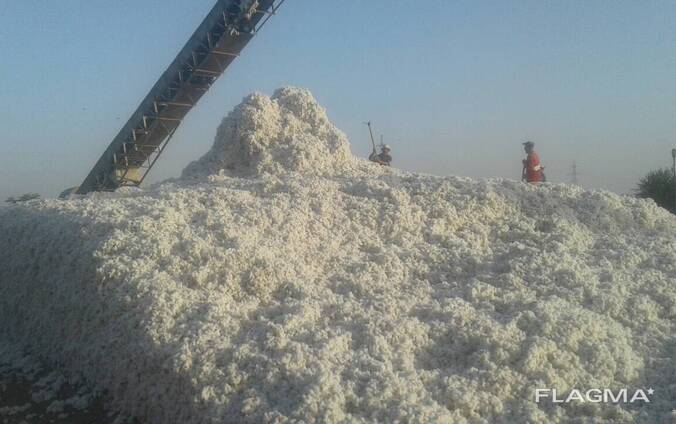 Хлопок волокно