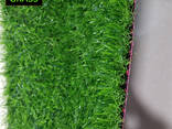 Искусственный газон из Китая - фото 1
