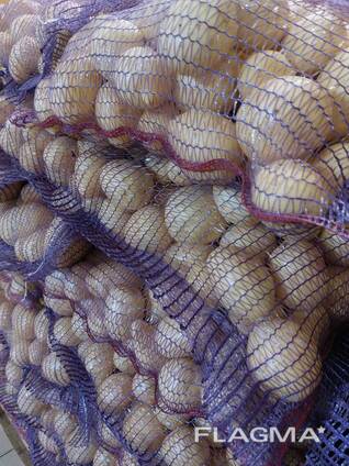 Картофель продовольственный урожай 2025