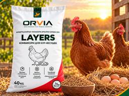 Комбикорми ORVIA барои мурғҳои тухмдеҳ