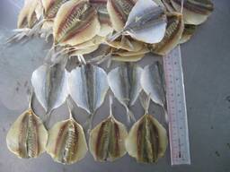 Купить сушеную рыбу в Таджикистан от производителя из Вьетнама.