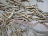 Купить сушеную рыбу в Таджикистан от производителя из Вьетнама. - фото 3