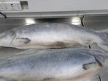 Лосось замороженный потрошеный - фото 2