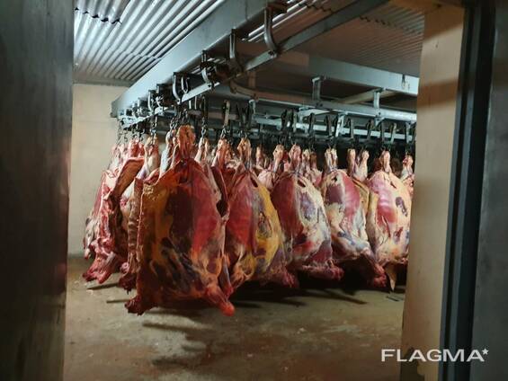 Мясо говядины