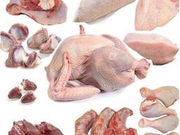 Мясо Курицы/Бройлера - HALAL. Frozen chicken meat