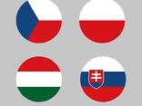 Oформленние ВНЖ Литвы, Венгрии, Словакии, Чехии на 1-2 года - photo 3