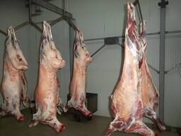 Оптом Мясо Баранина Говядина