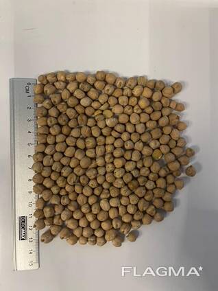 Покупаем нут с поставкой в ЕС и Турцию