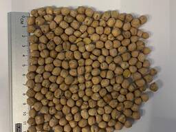 Покупаем нут с поставкой в ЕС и Турцию