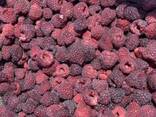 Продам замороженную малину с Украины c Euro 1 - фото 1