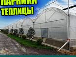 Производим и монтируем промышленные теплицы - фото 1
