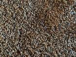 ПШЕНИЦА. ЛЁН. ЯЧМЕНЬ. ИТД. - photo 16
