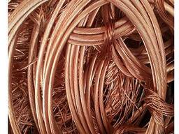 Quality Copper Wire Scrap Pure Copper Scrap 99%
