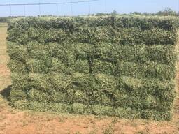 Quality hay bales