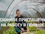 Сезонное приглашение в Польшу засвядчение Zaświadczenie! - photo 1