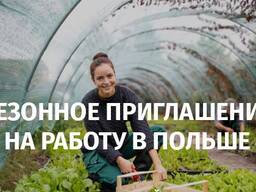 Сезонное приглашение в Польшу засвядчение Zaświadczenie!
