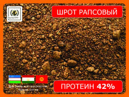Шрот рапсовый (42% протеин на АСВ) ж/д-доставка