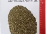 Шрот рапсовый (42% протеин на АСВ) ж/д-доставка - фото 2
