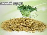Шрот соевый аргентинский для кормления кур - фото 1