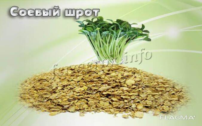Шрот соевый аргентинский для кормления кур