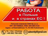 Сотрудничество по трудоустройству работников в Польшу - photo 1