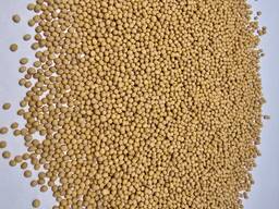 Закупаем горчицу с поставкой в ЕС